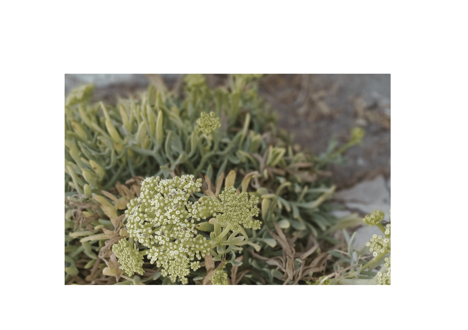 Liebevolles für dein Wohlbefinden